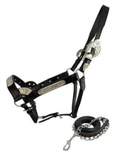 Dark Oil Leather Show Halter